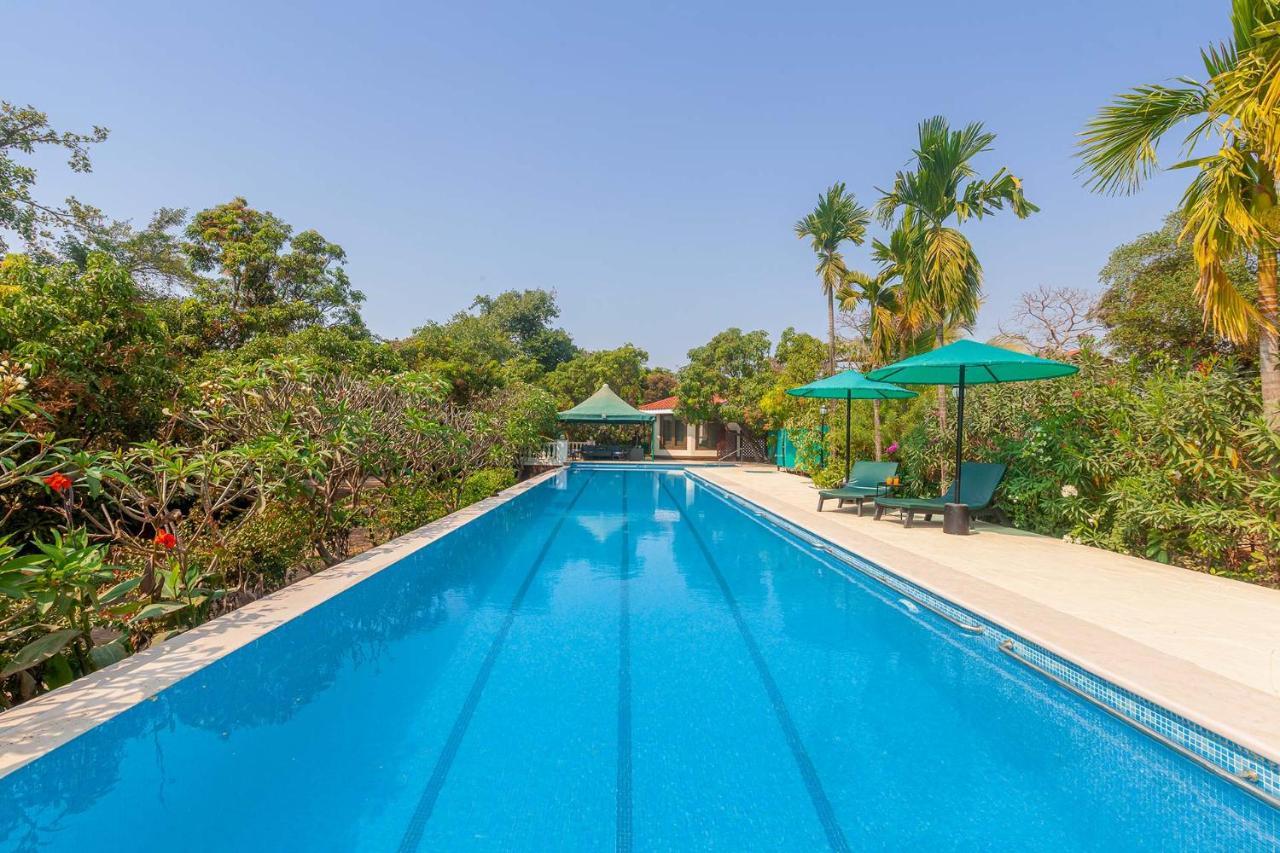 Stayvista'S Casa Palmera - Pet-Friendly Villa With Pool, Garden With Gazebo, And Indoor & Outdoor Games Alībāg Zewnętrze zdjęcie
